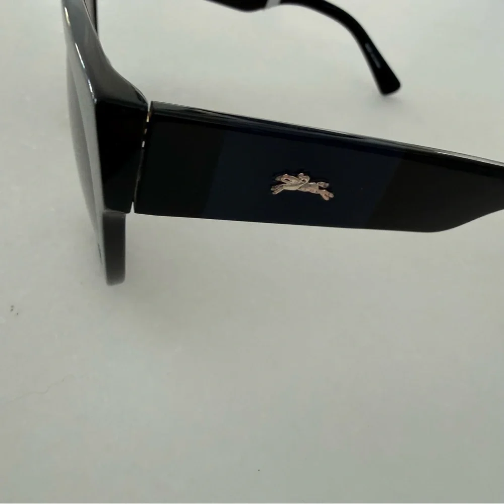 Longchamp Women's 56mm Black Sunglasses LO673S-001